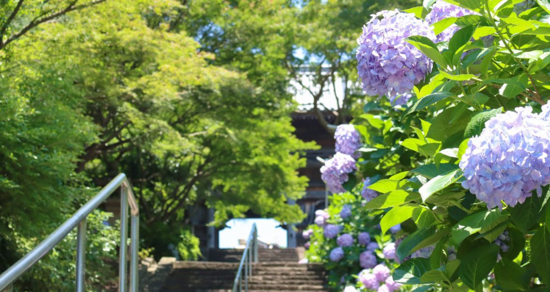 🏯 금선산 장경사 (킨센잔 조케이 지)
